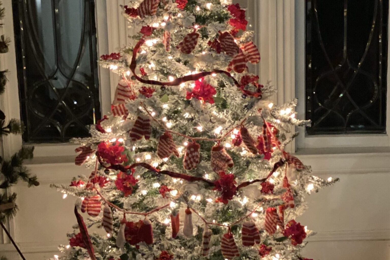 a Christmas tree in the window of a house